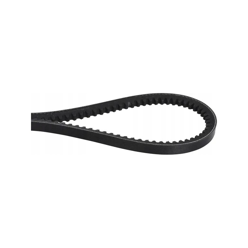 Toothed V-belt AVX 10 1250 mm