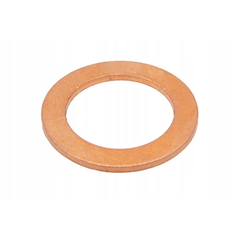 F954200060040 sealing washer