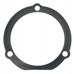 Morpak rear seal c 385 and derivatives
