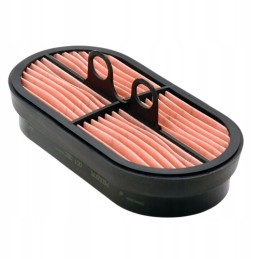 Donaldson P600975 air filter insert