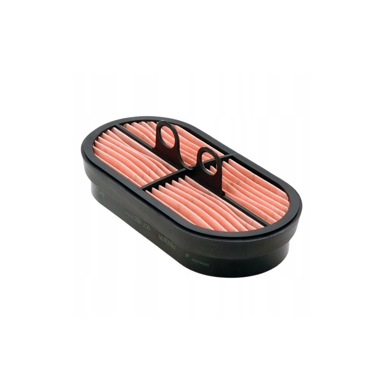 Donaldson P600975 air filter insert