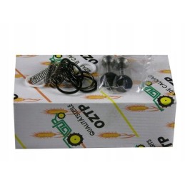 Hydraulic pump valve chamber repair kit