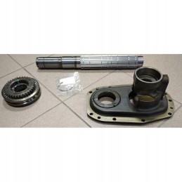 Reverse synchronizer case cx 298397a2
