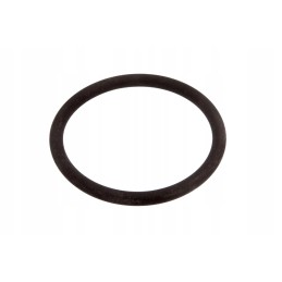 F119200710170 o-ring