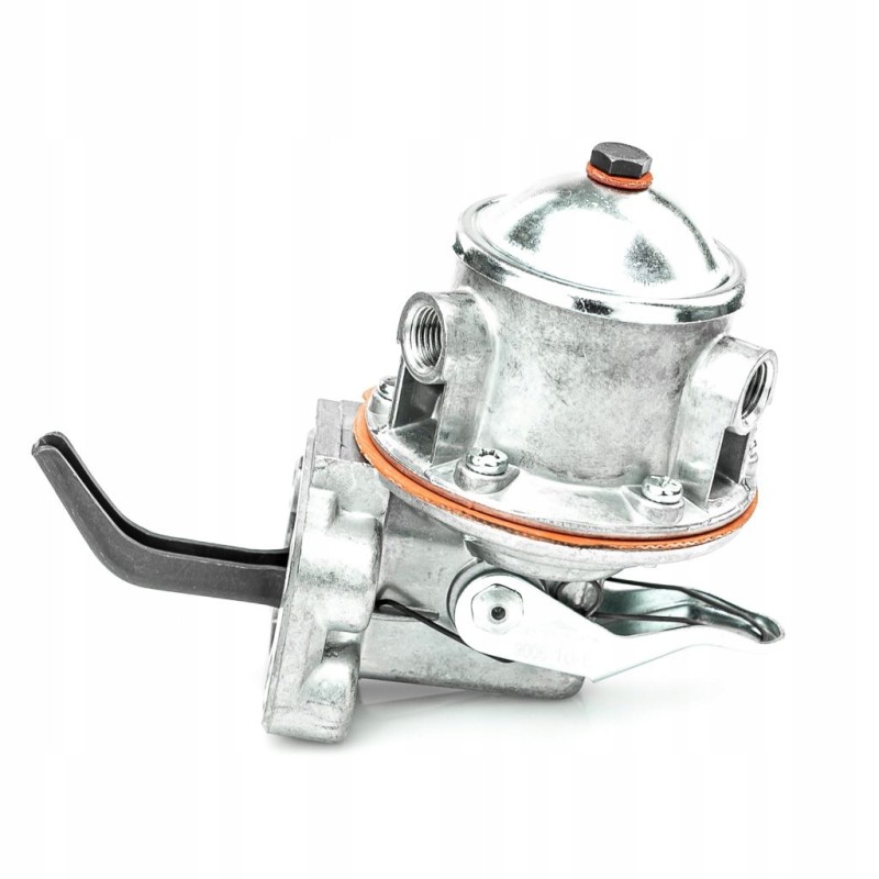 Diaphragm feed pump 38019421