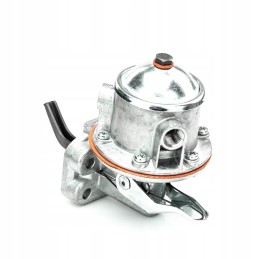 Diaphragm feed pump 38019421