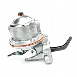 Diaphragm feed pump 38019421