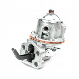 Diaphragm feed pump 38019421