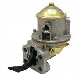 Diaphragm feed pump 38019421