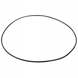 Oring 200mm 5450634303229 0634303229 zf