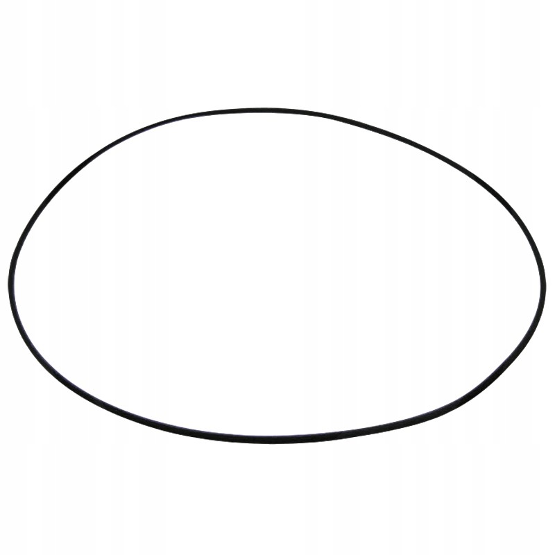 Oring 200mm 5450634303229 0634303229 zf