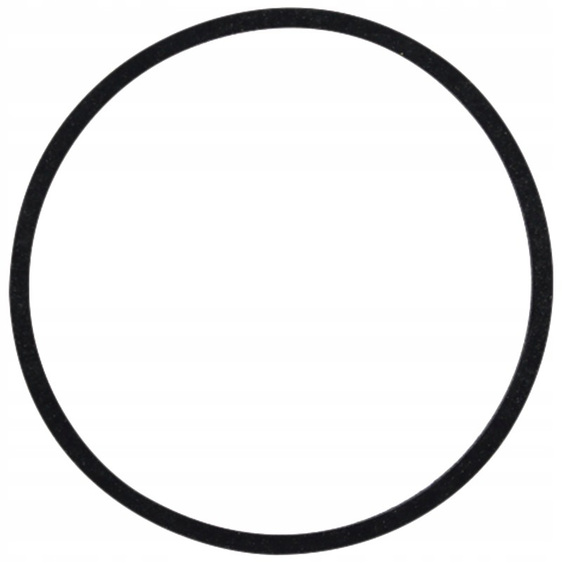 Sealing ring large 5679972