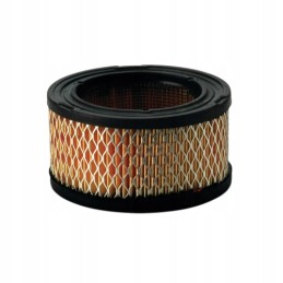 Donaldson P528206 air filter