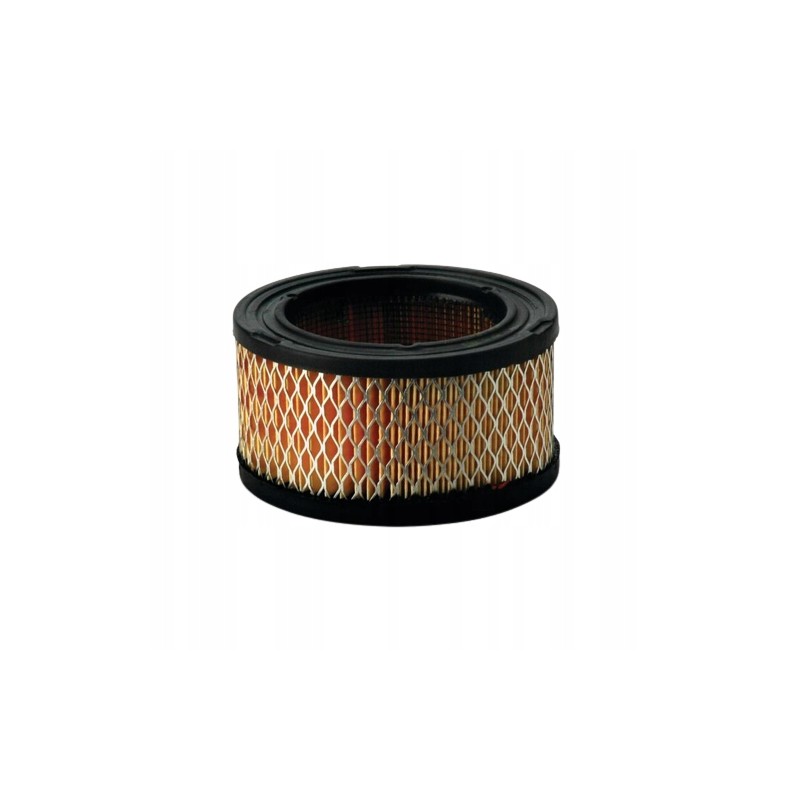 Donaldson P528206 air filter