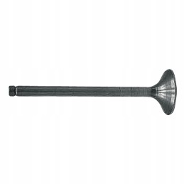 Exhaust valve 65769010554