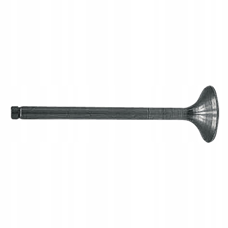 Exhaust valve 65769010554