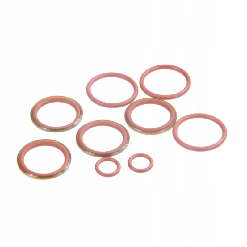 Seal set fendt g001990011520 original