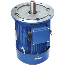 Electric motor 132m 4 b3 5 4 6 7 5 85004059