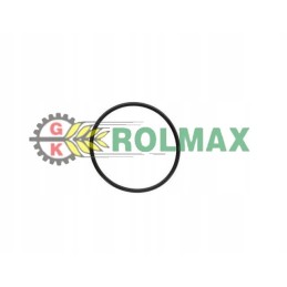 Ring oring new holland case 83911411