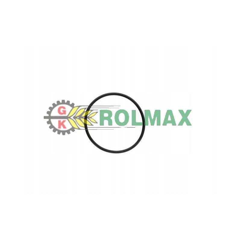 Ring oring new holland case 83911411