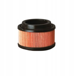 Donaldson P500196 breather air filter