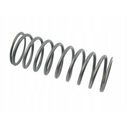 Valve spring internal c 360 50 50 507 0