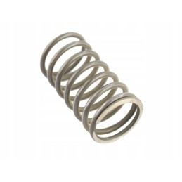 Valve spring external c 360 50 50 508 0