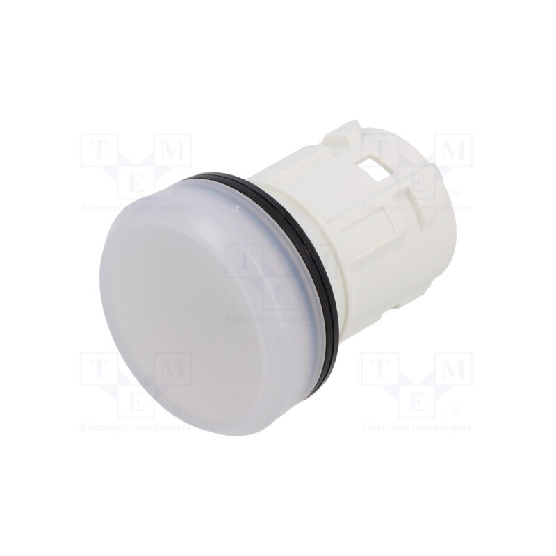 1 pcs x EAO - 45-2T00.10N0.000 - Control lamp, 22mm, 45, -25÷70°C, Ø22.3mm, IP66,IP67,IP69K, white