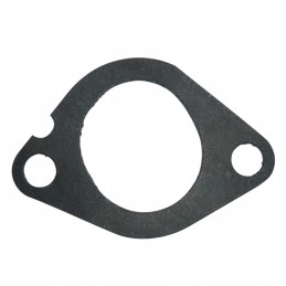 Front gasket of the intake manifold 368 664 62
