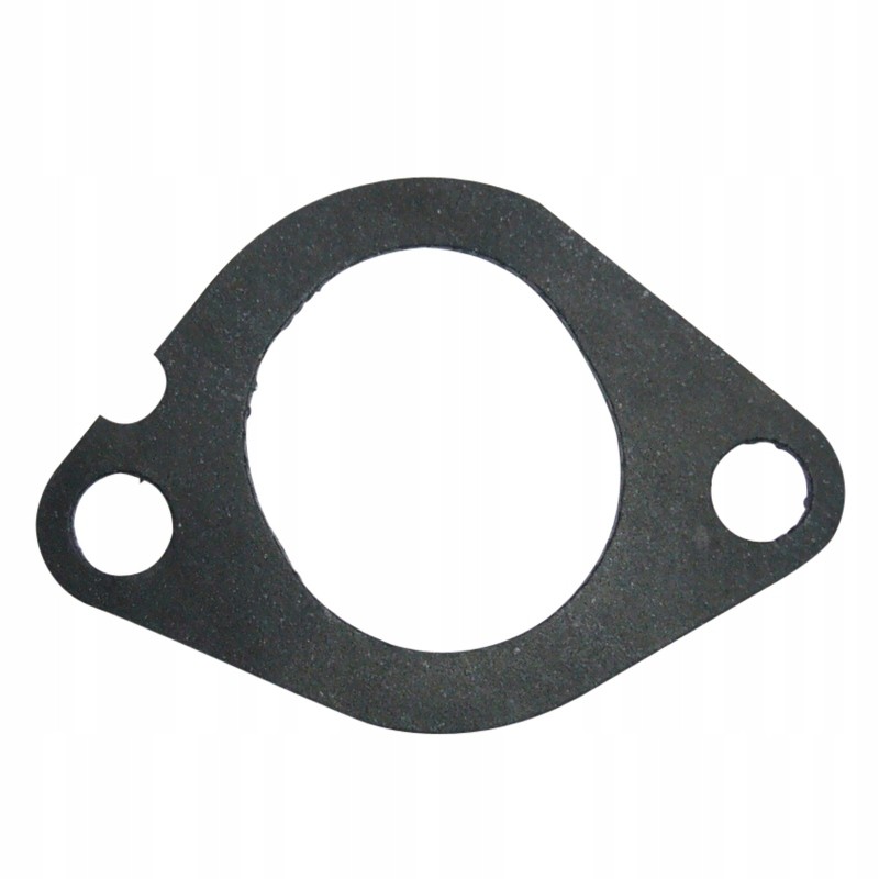 Front gasket of the intake manifold 368 664 62