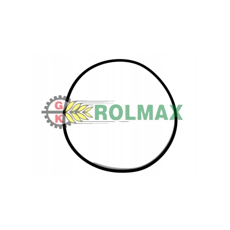 O ring 2 62x101 20 new holland case 9828498