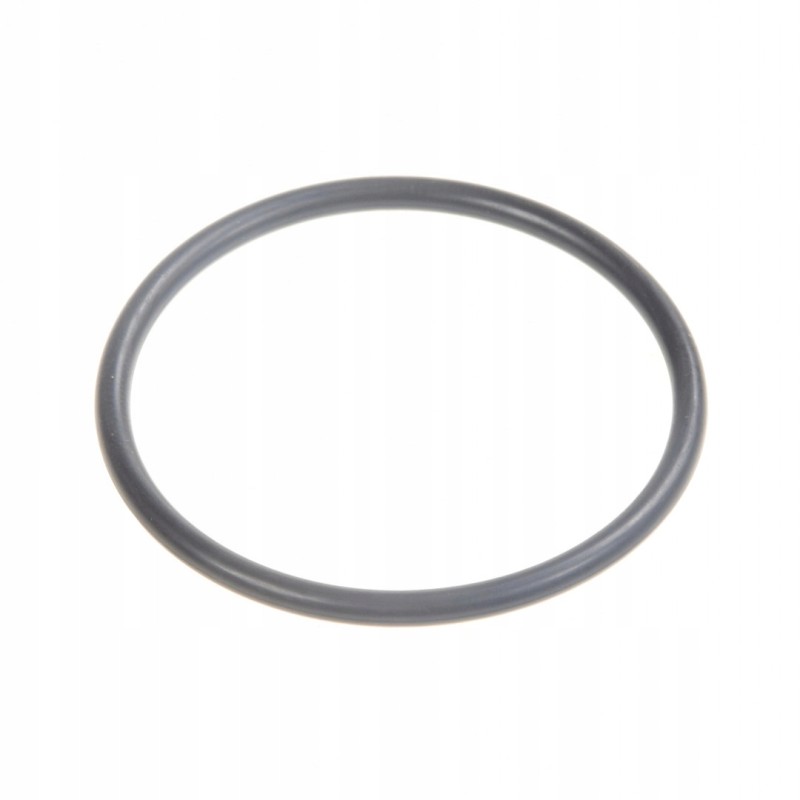 O-ring fendt x548917266000 original