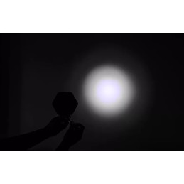 16 LED work lamp with halogen protective grille