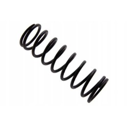 Valve rocker axle spring c 330