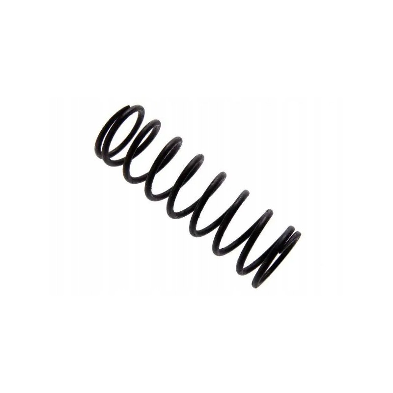Valve rocker axle spring c 330