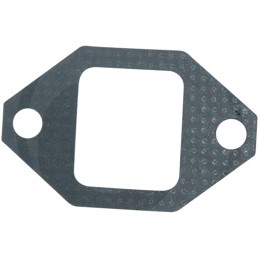 Exhaust manifold gasket c 385 80005091