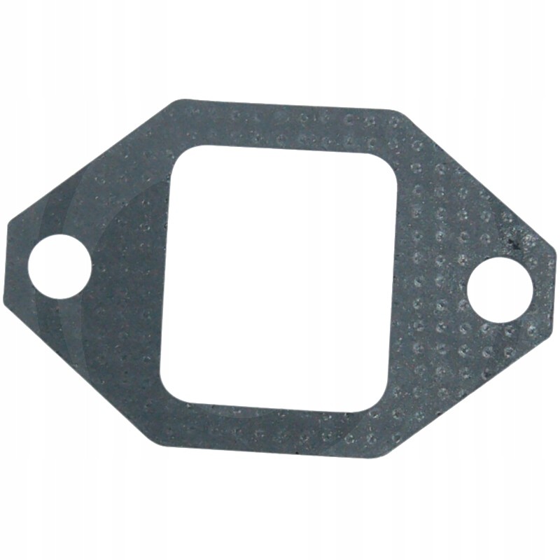 Exhaust manifold gasket c 385 80005091