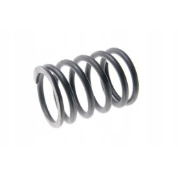 Valve spring, external 80005013 c 385 8900550