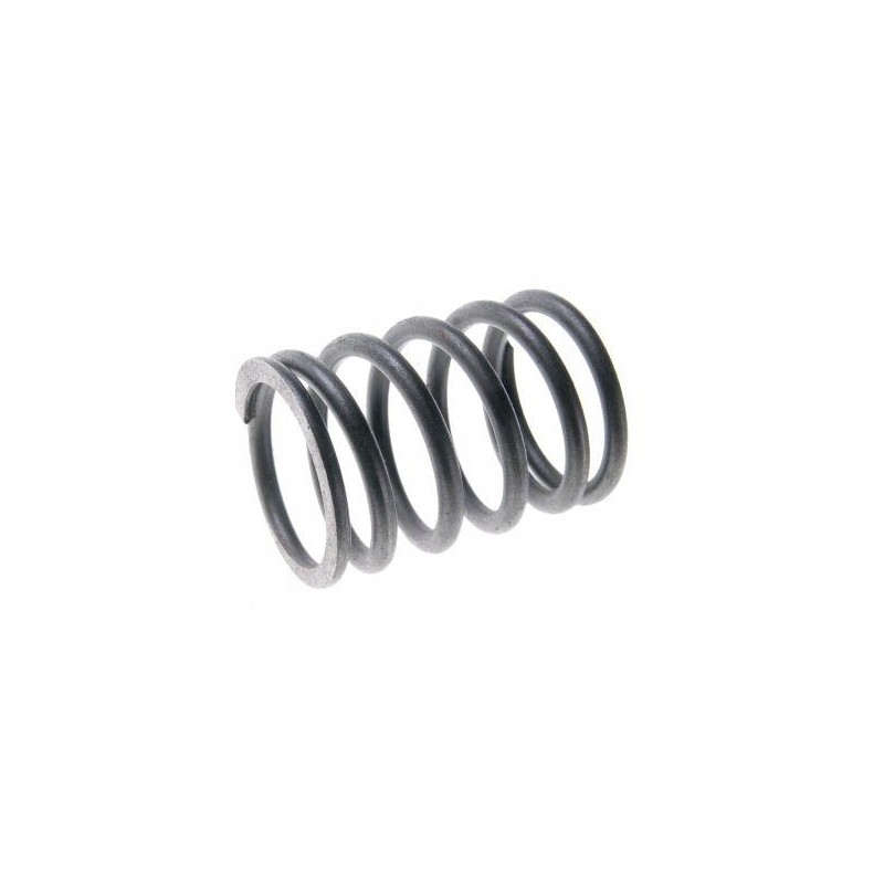 Valve spring, external 80005013 c 385 8900550