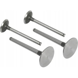 Suction valve vpa1100