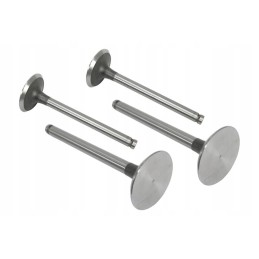 Suction valve vpa1100