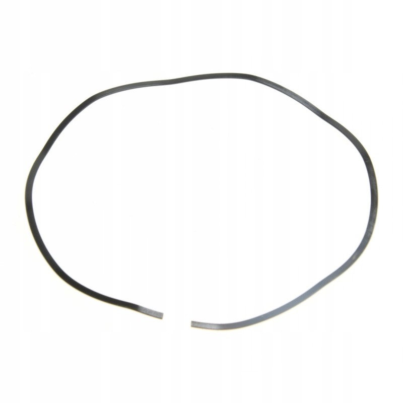 Speedshift disc wave spring 3795274m1 bepco