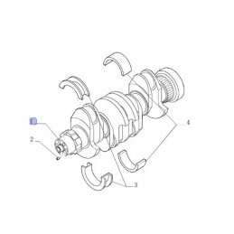 Crankshaft New Holland Case Steyr 504359387