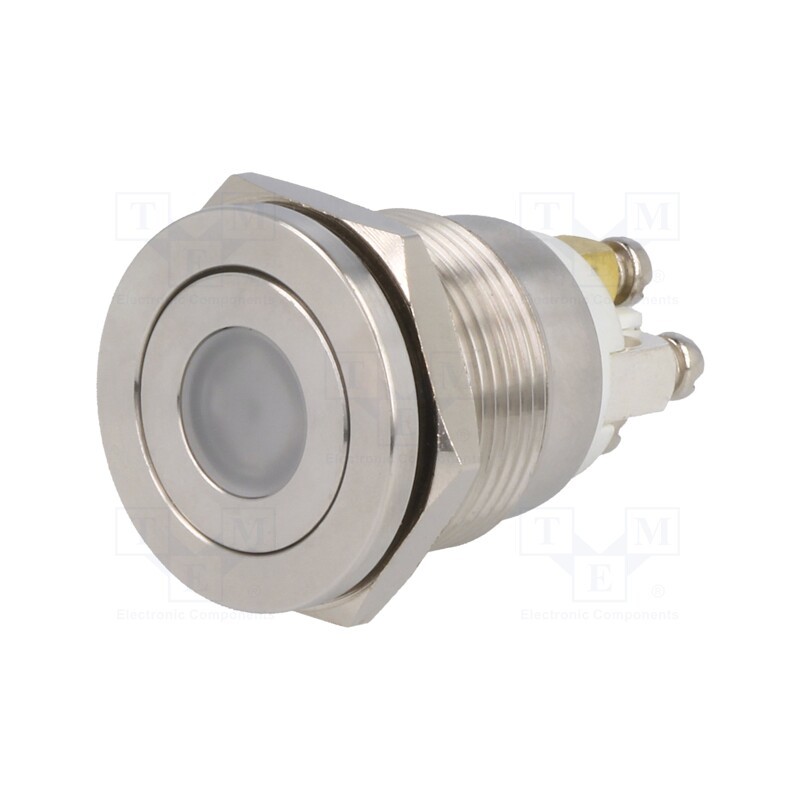 1 pcs x ONPOW - GQ19PF-10D/R/12V/S - Switch: vandal resistant, Pos: 2, SPST-NO, 0.5A/220VAC, 2A/36VDC