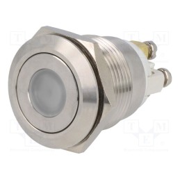 1 pcs x ONPOW - GQ19F-10D/R/24V/S - Switch: vandal resistant, Pos: 2, SPST-NO, 0.5A/220VAC, 2A/36VDC