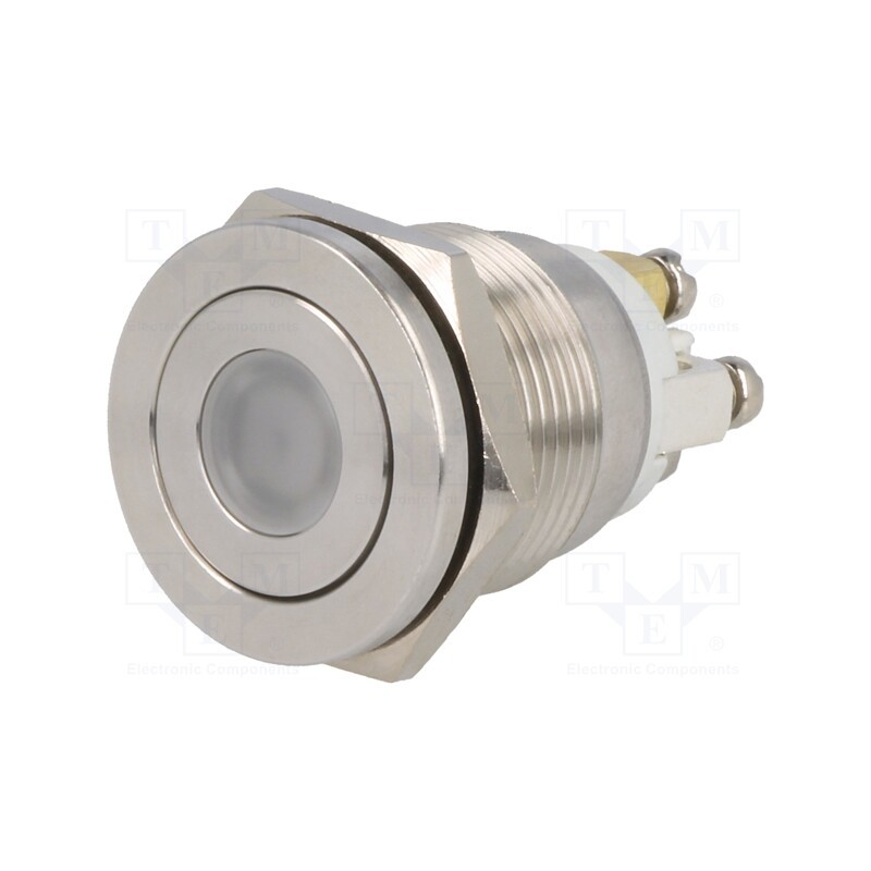 1 pcs x ONPOW - GQ19PF-10D/R/24V/S - Switch: vandal resistant, Pos: 2, SPST-NO, 0.5A/220VAC, 2A/36VDC