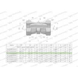 Hydra reducing connector inch aa 3 8 x 1 2 bsp