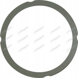 Head gasket 1 00mm oe 102 69 x 119 8mm