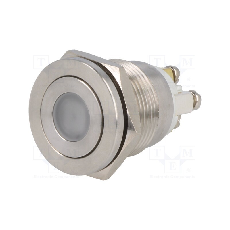 1 pcs x ONPOW - GQ19PF-10D/G/12V/S - Switch: vandal resistant, Pos: 2, SPST-NO, 0.5A/220VAC, 2A/36VDC
