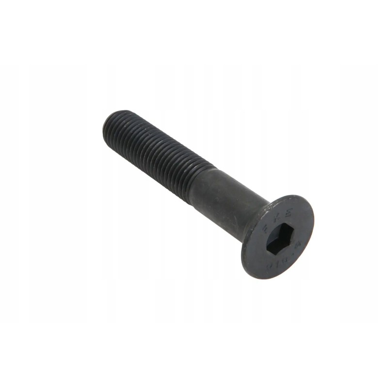 07 02 0120 Allen screw M16 x 90
